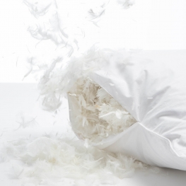 Goose Feather/Down Pillow