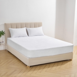 Coral Fleece Mattress Protector